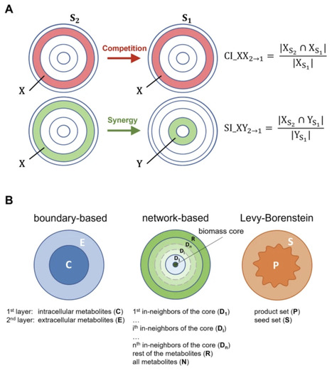 Metabolic set theory: a generalized model of microbial interactions | npj Systems Biology and Applications | RMH | Scoop.it