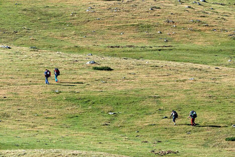 "Un simple raccourci ?", comment ce r&eacute;flexe en randonn&eacute;e d&eacute;truit les sols, menace la flore fragile et condamne la faune locale | Vall&eacute;es d'Aure & Louron - Pyr&eacute;n&eacute;es | Scoop.it