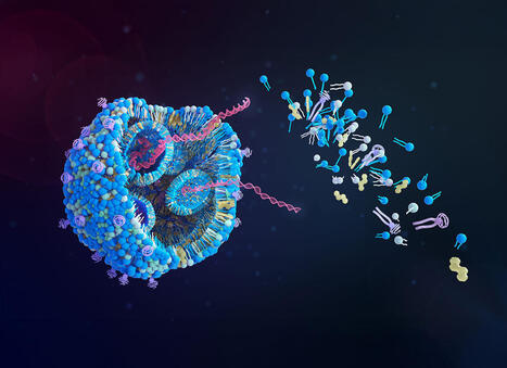 Novel LNP Delivers Influenza mRNA Vaccine at 100-Fold Lower Dose | Virus World | Scoop.it