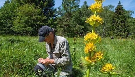 Un nouveau protocole pour l'inventaire du patrimoine naturel | Paysage - Environnement | Scoop.it