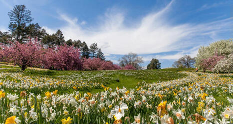 Seasonal Storytelling: Building Robust Strategies for Spring Campaigns | Digital Tourism Think Tank | Destination Management Issues | Scoop.it