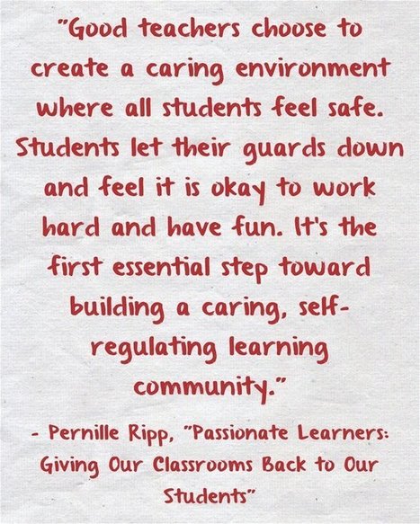 Book Excerpt: &ldquo;Letting Go of the Punish, Behave, Reward Cycle&rdquo; by Pernille Ripp | Teaching: Best practice ideas | Scoop.it