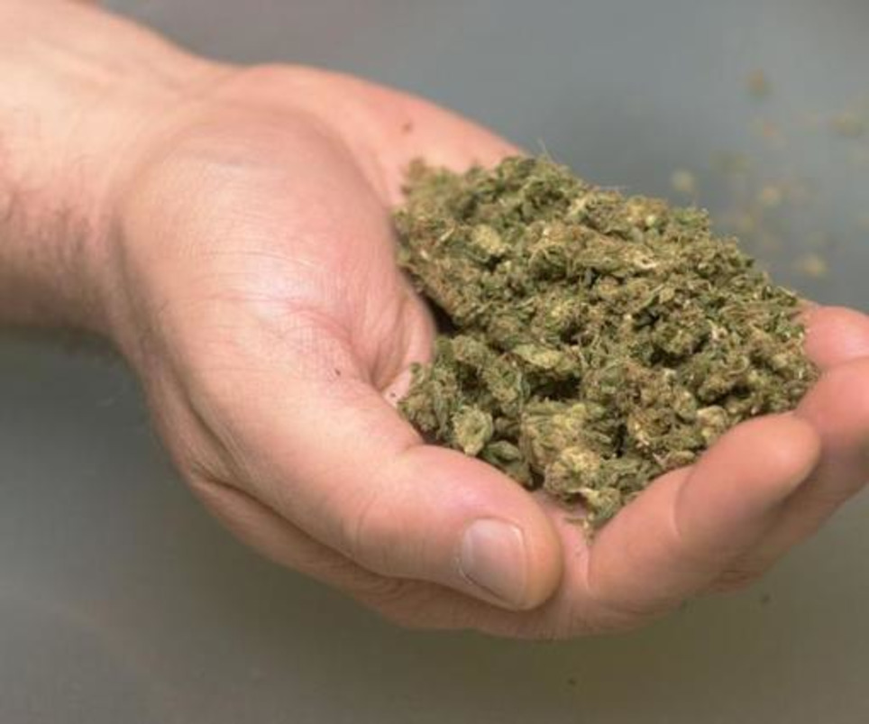 The Issue: Should marijuana be regulated like alcohol? - UPI.com | ReactNow - Latest News updated around the clock | Scoop.it