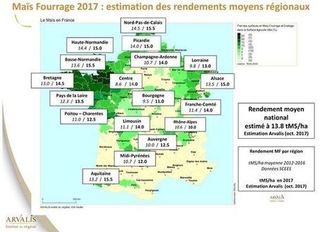 Maïs fourrage : des rendements et une qualité au top ! | Lait de Normandie... et d'ailleurs | Scoop.it