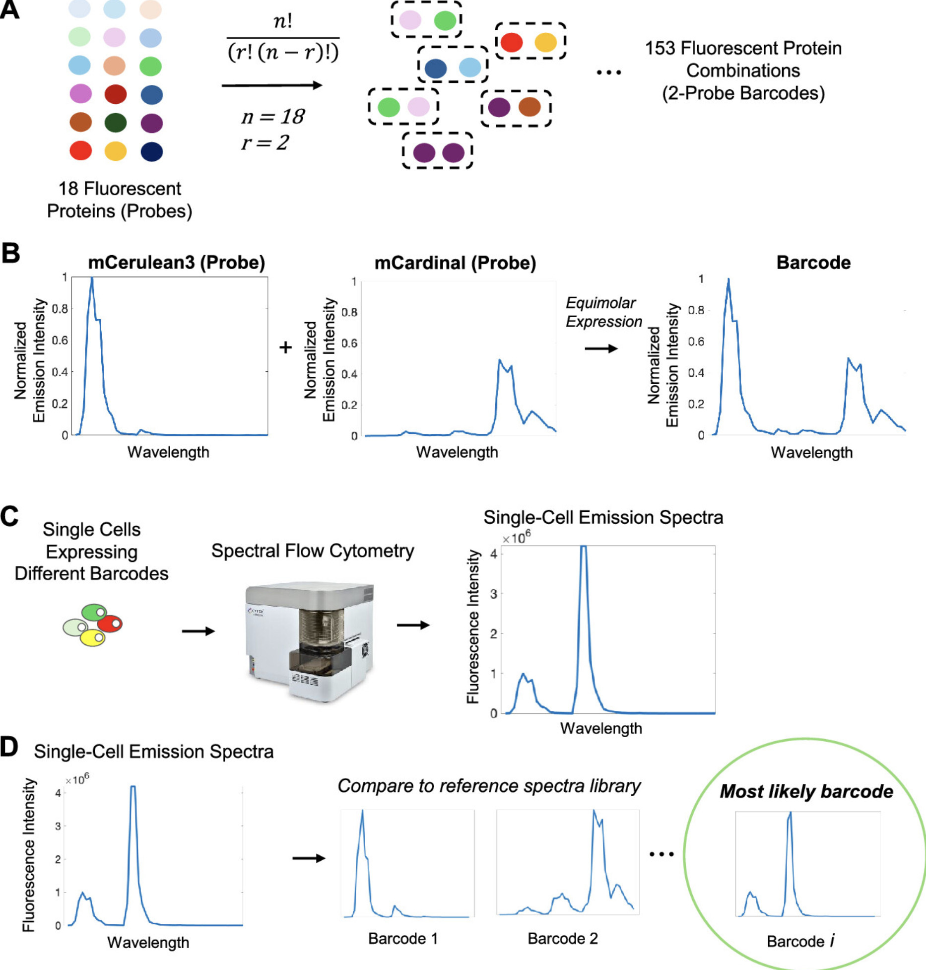 Genetically Encoded Fluorescence Barcodes Allow...