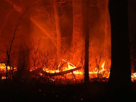 Wildfire Smoke To Hit State As Rain, Storms Forecast - Patch.com | Operation Deimos | Scoop.it