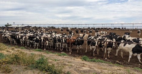 How a California Clean Energy Program Became a Boon for Big Dairies | Industry 411 - Waste Management | Scoop.it