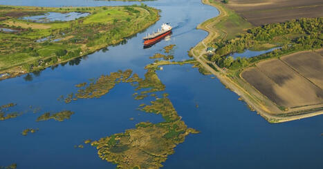 California's Delta is in poor ecological health, scientists say | Soggy Science | Scoop.it