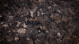 "Tol&eacute;rance z&eacute;ro" : apr&egrave;s un &eacute;t&eacute; ravag&eacute; par les incendies, la justice durcit le ton | Veille territoriale AURH | Scoop.it