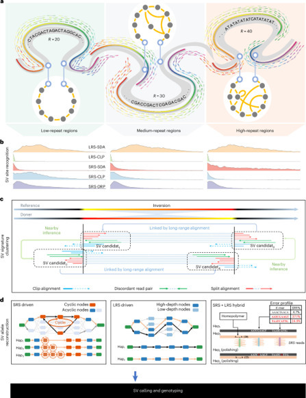 Structural variant detection across sequencing technologies | Nbt | RMH | Scoop.it