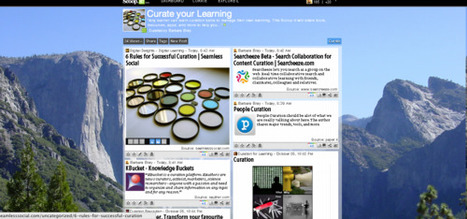 Curation as a 21st Century Skill | Barbara Bray - Rethinking Learning | 21st Century Learning and Teaching | Scoop.it