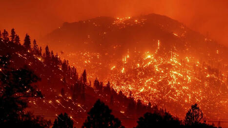 Forests managed by timber companies more likely to fuel megafires: Study - The Hill | Operation Deimos | Scoop.it