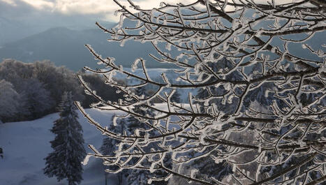 Apr&egrave;s un &eacute;pisode de froid "remarquable", la neige est d&eacute;sormais attendue en Alsace - ICI | Alsace Actu | Scoop.it