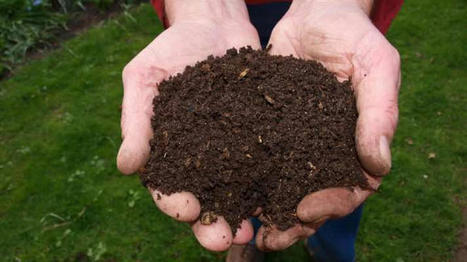 Future farming: cultivating people-friendly food systems - EnviWeb | Agroecologie et Syst&egrave;mes Alimentaires Durables | Scoop.it