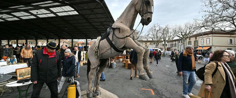 Cheval, verre royal, tapis, casques et tableaux : cinq trésors cachés de la brocante d’Albi | Destination Albi - revue de presse | Scoop.it