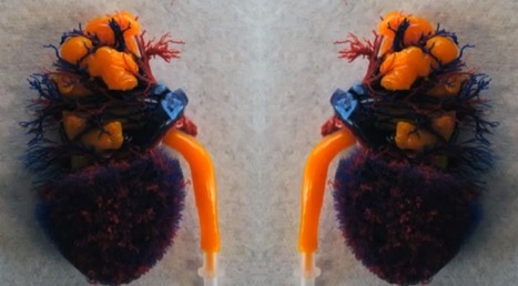 Une conférence TEDx sur la bio-impression 3D | Veille sur les technologies d'impression 3D | Scoop.it