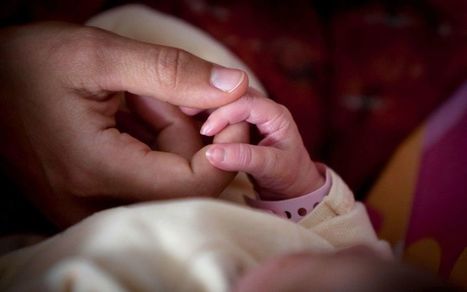 En France, la fécondité baisse pour toutes les femmes, sauf les immigrées | Famille et sexualité | Scoop.it