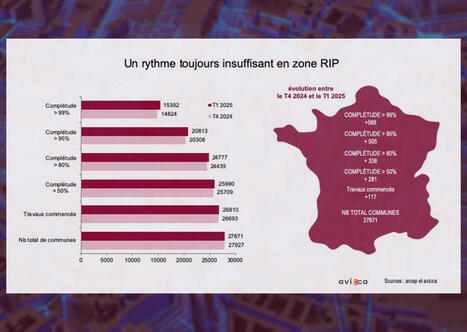 Pour sauver les RIP, les élus appellent à augmenter les tarifs au plus vite | Veille juridique du CDG13 | Scoop.it