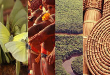 Garimpo ilegal domina área de Belo Monte [Valor Econômico - 25/09/2012] | Terra do meio (Pará) | Scoop.it