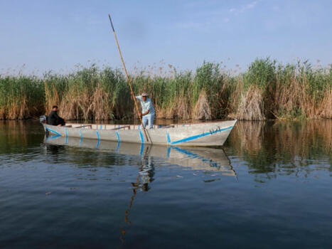 En Irak, la prospection pétrolière menace les mythiques marais mésopotamiens | Biodiversité - @ZEHUB on Twitter | Scoop.it