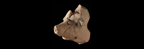 Letter from the Levant - On the Origin of the Pork Taboo | by&nbsp;Andrew Lawler | Archaeology Magazine | Archeology.org | Schools + Libraries + Museums + STEAM + Digital Media Literacy + Cyber Arts + Connected to Fiber Networks | Scoop.it