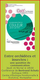 Conférence - Entre orchidées et insectes : une question de communication | Variétés entomologiques | Scoop.it