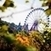 "A Tomorrowland on every continent": Australia on the map? - inthemix | TomorrowLand | Scoop.it