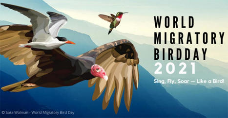 Journée mondiale des oiseaux migrateurs : Rejoignez la célébration mondiale des oiseaux et de la nature le 9 octobre 2021 ! | Biodiversité | Scoop.it