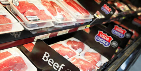 Trump triggers economic alarm bells as exports of an American staple crater: report - Raw Story | Backstabber Watch | Scoop.it