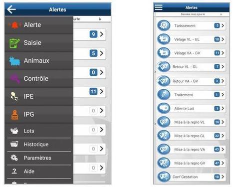 Pilot’Élevage, un nouvel outil de pilotage intuitif | Lait de Normandie... et d'ailleurs | Scoop.it