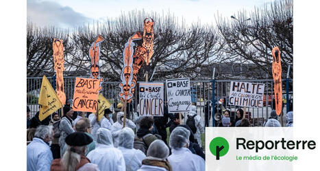 RSF et le SNJ soutiennent les journalistes de Reporterre intimidés lors d’une action à BASF | Variétés entomologiques | Scoop.it