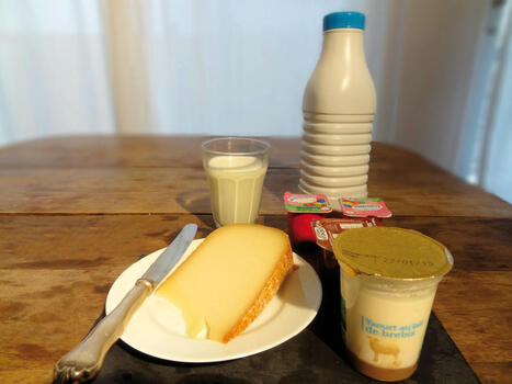Intol&eacute;rance au lactose | Local delivery for Gene Directed Enzyme Prodrug Therapy | Scoop.it