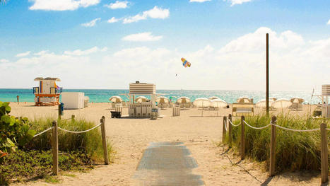 Florida’s Quality of Life is Unmatched | Best Amazon Collections | Scoop.it
