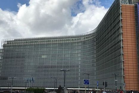 La bataille du dossier chlordécone se poursuit au Parlement européen  | Revue Politique Guadeloupe | Scoop.it