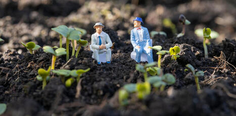 Pourquoi la transition &eacute;cologique est-elle si difficile &agrave; gouverner&nbsp;? | ECOLOGIE - ENVIRONNEMENT | Scoop.it