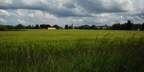 Sur le plateau de Saclay, les derniers paysans de Paris | ACIPA | Scoop.it
