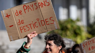Des dizaines de manifestations contre les "lois Duplomb" sur la r&eacute;autorisation de pesticides | Environnement - D&eacute;veloppement durable - Climat | Scoop.it