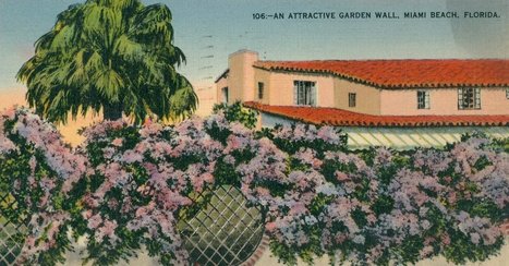 Built on Sand: The Get-Rich-Quick Scams of 1920s Florida | Calls for Action | Scoop.it