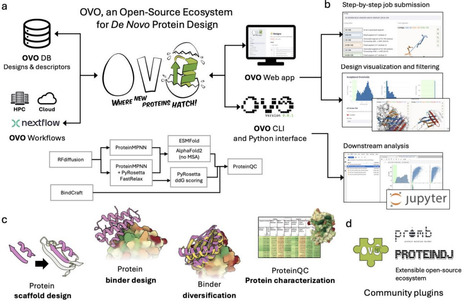 Ovo, an Open-Source Ecosystem for De Novo Protein Design | brvai | RMH | Scoop.it