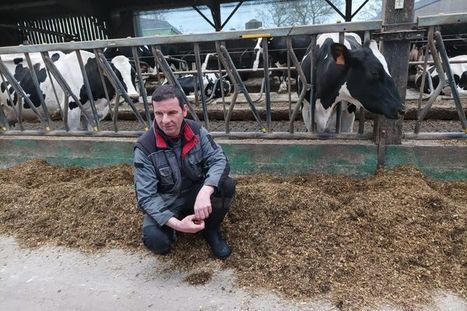 Comment ces éleveurs réduisent les émissions de méthane de leurs vaches pour lutter contre le réchauffement climatique | Actualité Bétail | Scoop.it