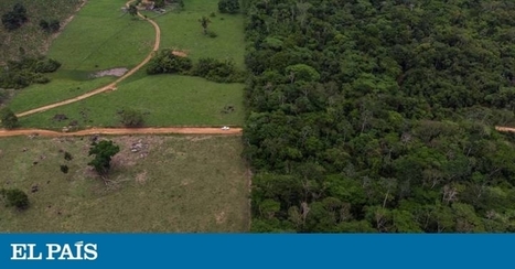 Oito países sul-americanos lutam com a Amazon pelo uso de um domínio na Internet | Economia | EL PAÍS Brasil | Notícias em Português | Scoop.it