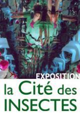 Exposition du 1er avril au 3 novembre 2019 : "Quand la vie s’en mêle" de l’artiste plasticienne Régine Elliott à Nedde (87) | Variétés entomologiques | Scoop.it