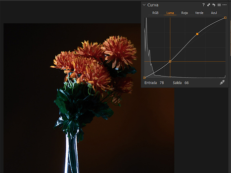 ¿Capture One o Adobe? Comparativa de reveladores (II) | Photography by products | Scoop.it