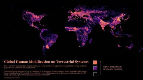 Visualizing the Human Impact on the Earth’s Surface | GTAV AC:G Y10 - Environmental change and management | Scoop.it
