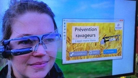Lunettes connectées Un regard high tech sur l’agriculture | Elevage et numérique | Scoop.it