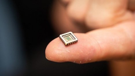A silicon chip that mimics the brain’s neurons could help fight paralysis | #Research #Bionics #STEM  | Emerging Topics in Science and Technology | Scoop.it