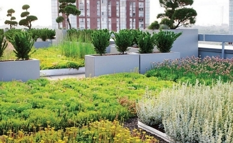 En France, les toits des nouveaux centres commerciaux devront être végétalisés | Immobilier | Scoop.it