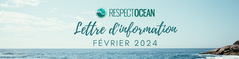 RespectOcean - Lettre d'information - Février 2024 | Biodiversité | Scoop.it