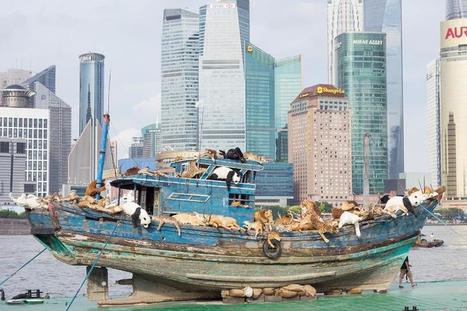 Cai Guo-Qiang: The Ninth Wave sailing on the Huangpu River by the Bund | Art Installations, Sculpture, Contemporary Art | Scoop.it