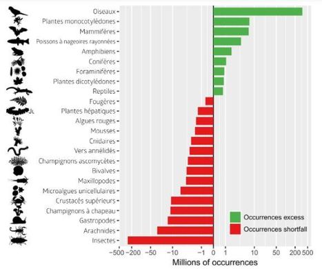 Biodiversité : quand l’oiseau fait de l’ombre à l’insecte | EntomoNews | Scoop.it